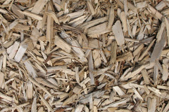 biomass boilers Shieldmuir